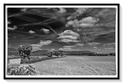 batch__5210014-Cloudscape-AllCannings-Wiltshire-BW.jpg