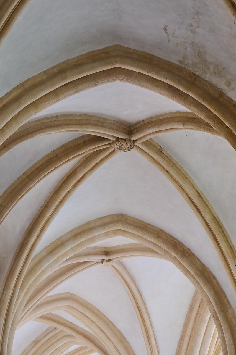 8DS_9661.jpg