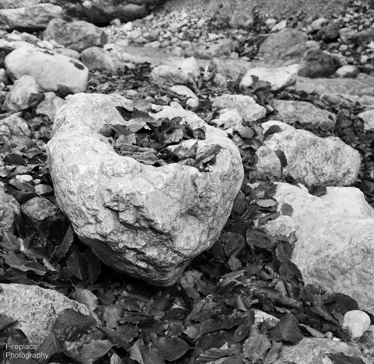 DSC_1555 smaller.JPG