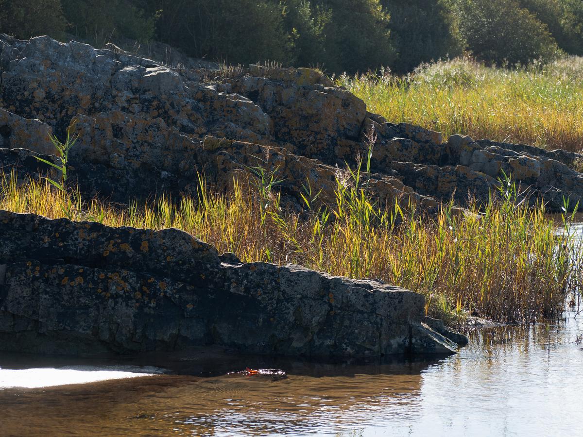 PA167626.jpg