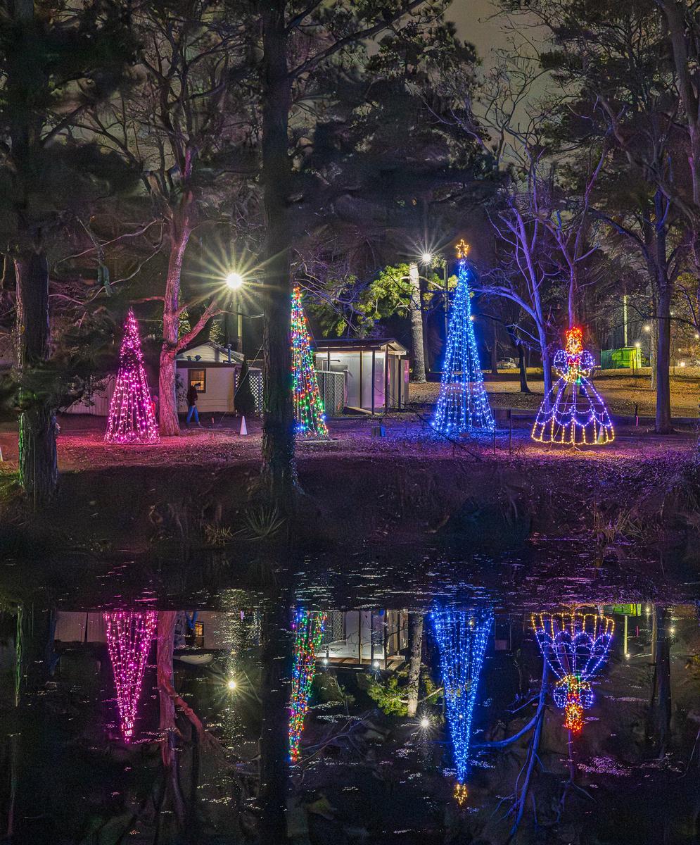 Cristmas Lights 20251226 - 159.jpg