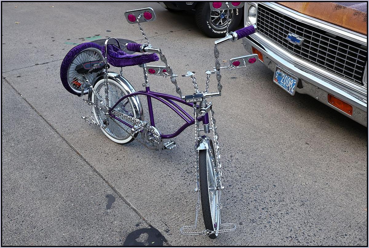 ResizedDPR2.jpg