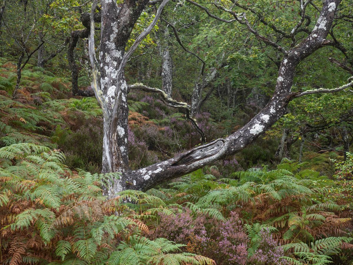 P9127134.jpg