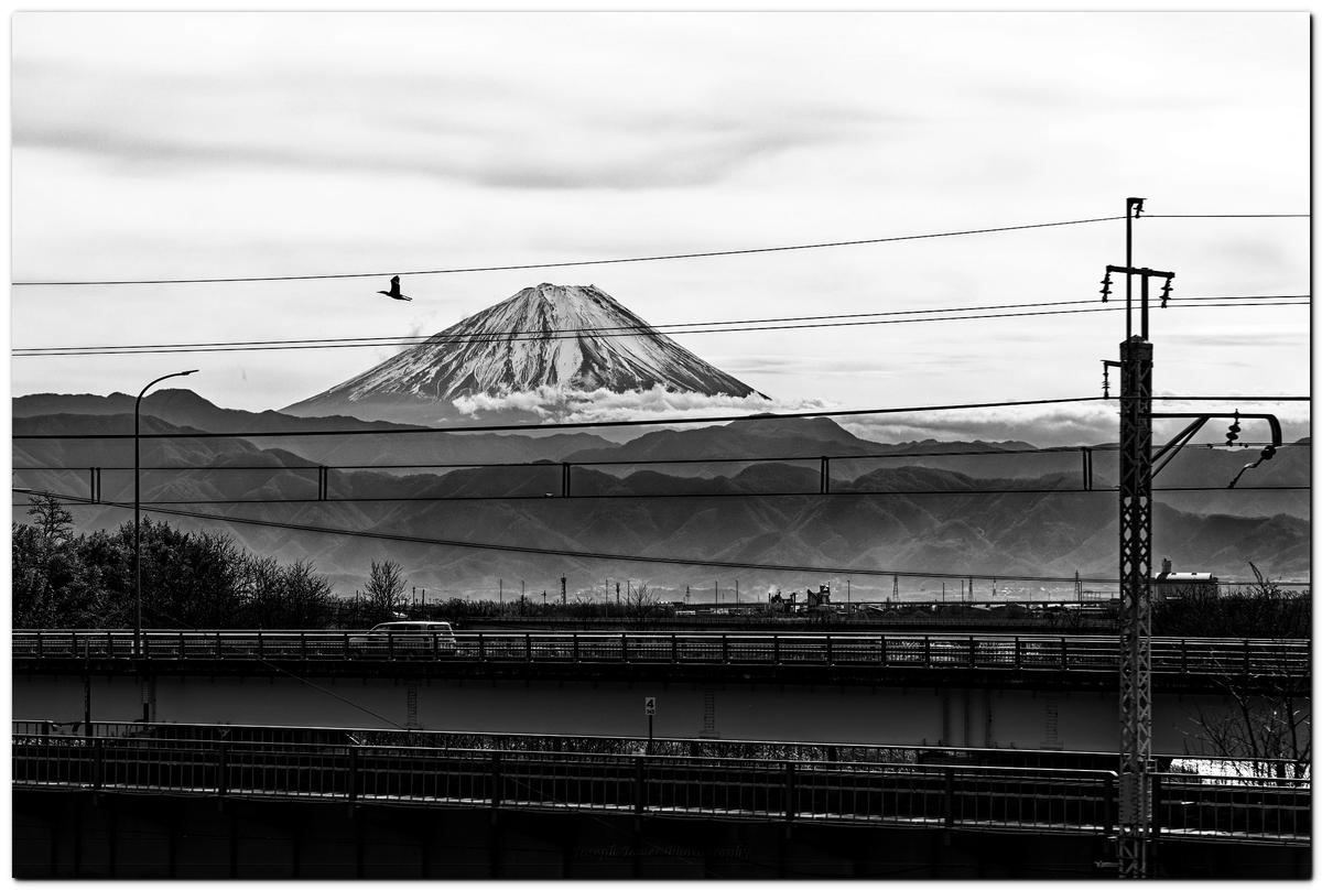 View from the train.jpg