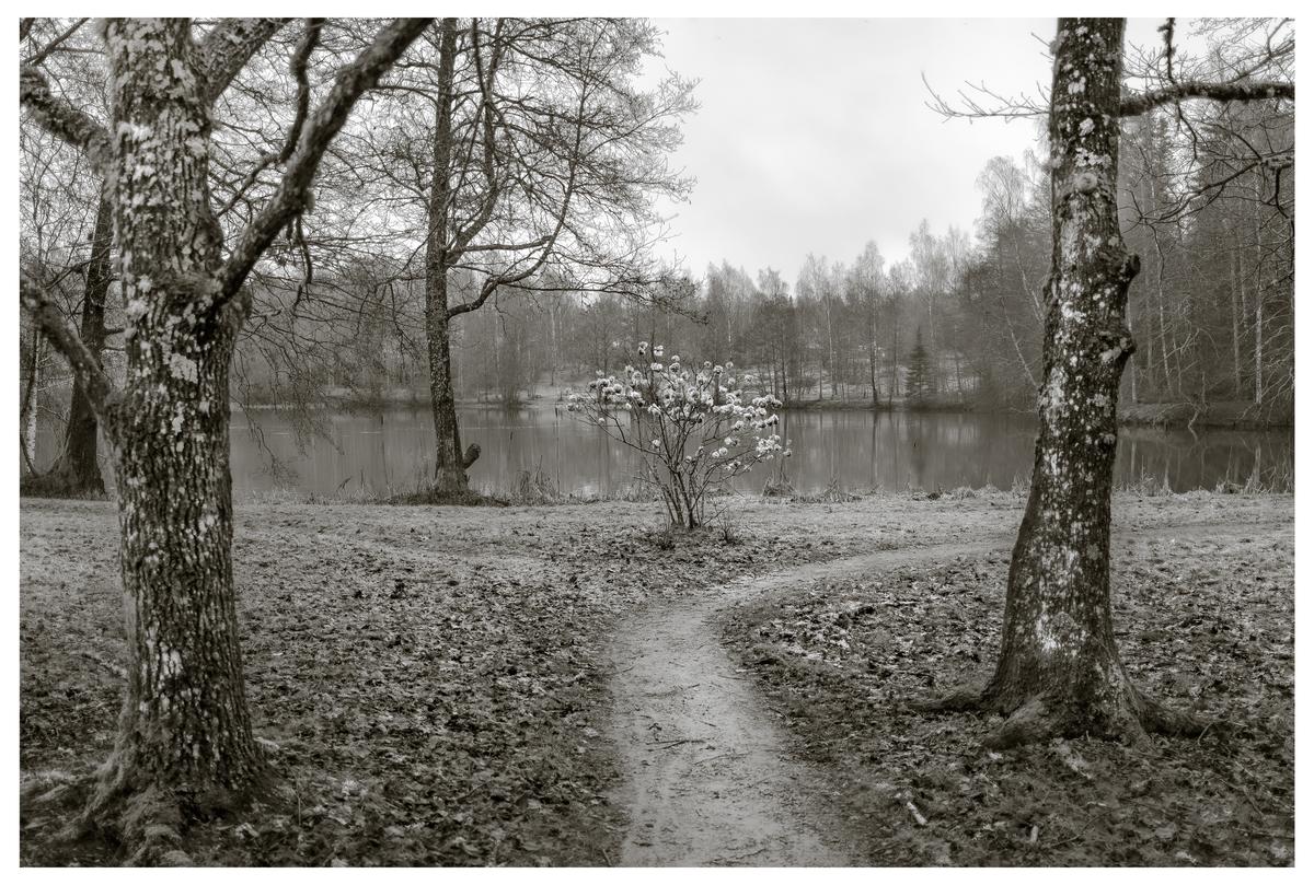 _DSF1493-IridientEdit edit-2-2.jpg