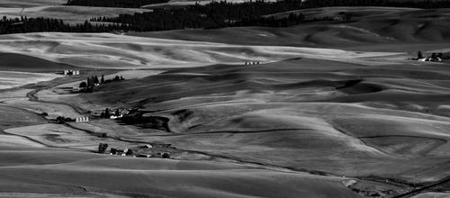 palouse-5-2.JPG