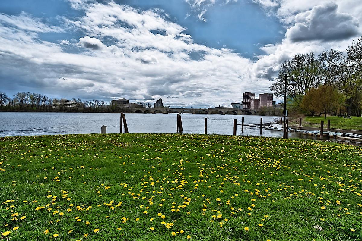 xt2s4598-ted.jpg
