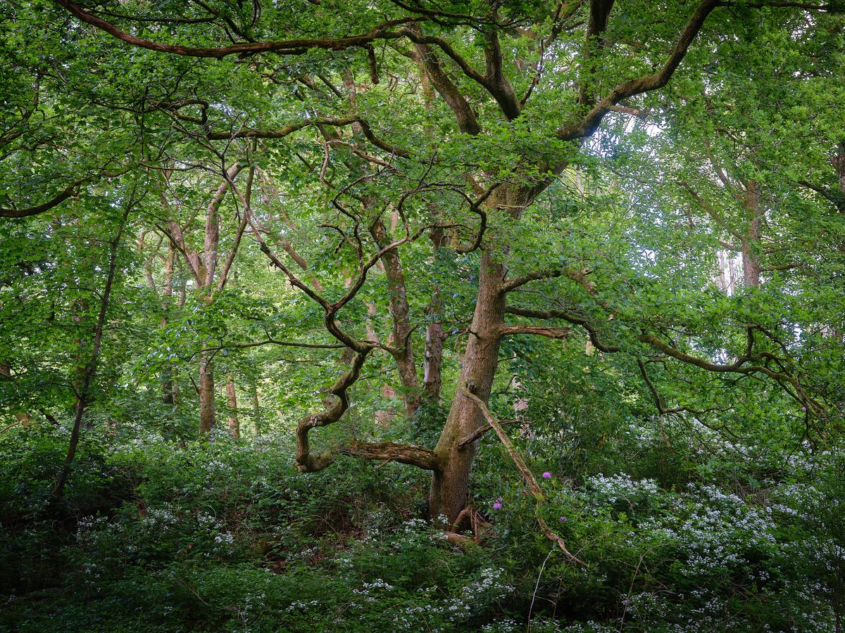 DSCF3187.jpg