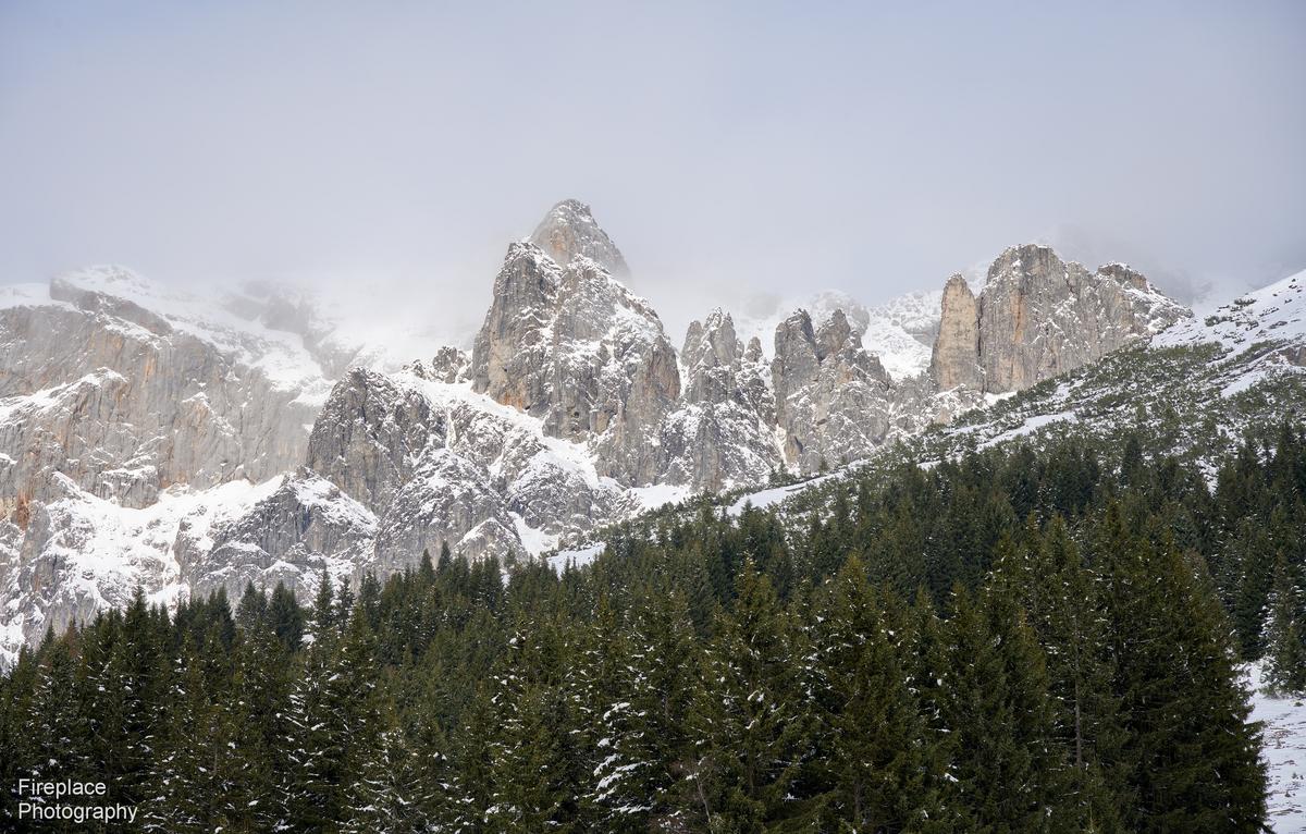 DSC_1879 smaller.JPG