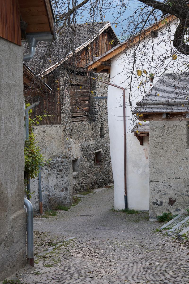 8DS_0382.jpg