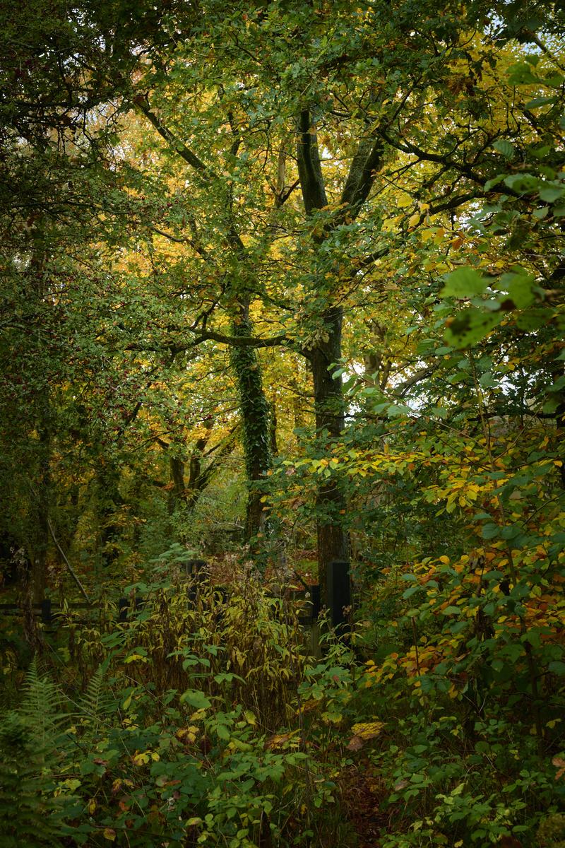 DSC_8575.jpg