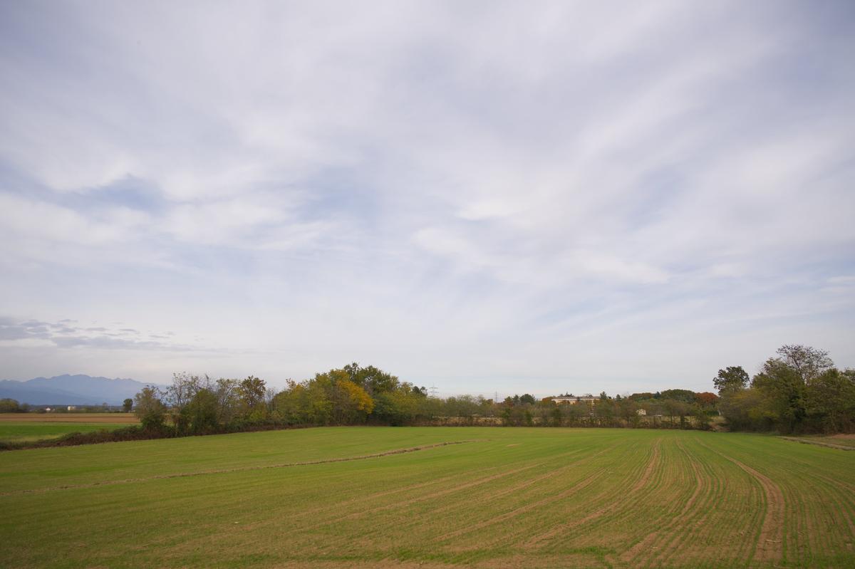 2025-10-25 16.06.05-3_Zf.jpg