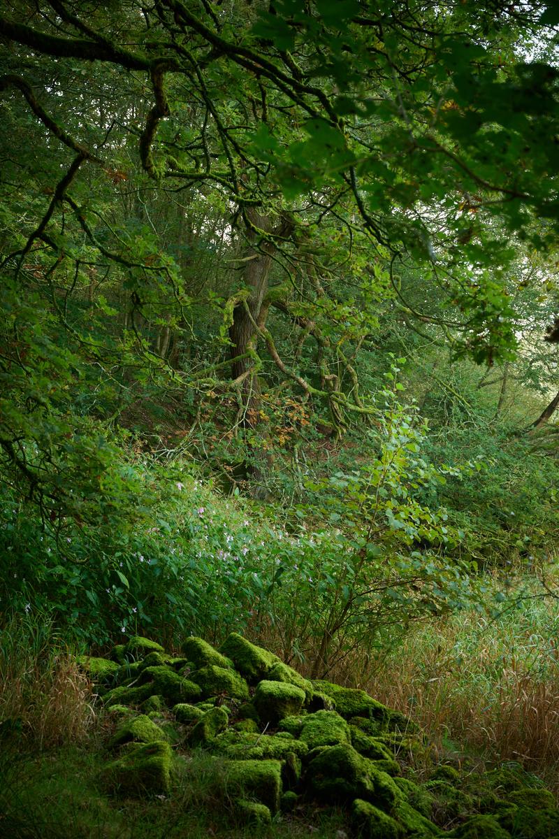 DSC_8033.jpg