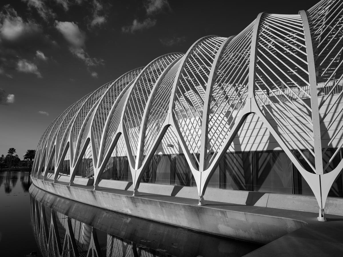 FL Poly-gfrf2121-20251227-1619 1.jpg