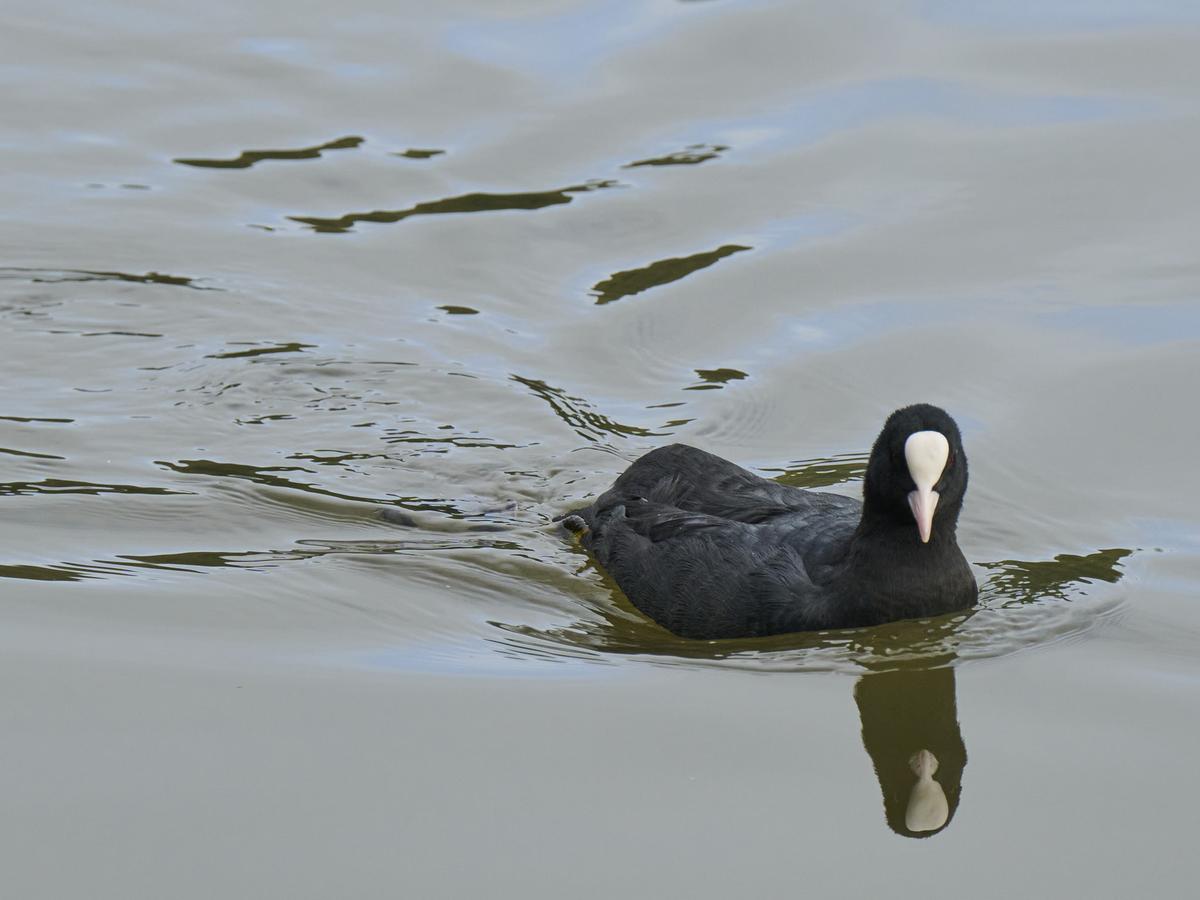 DSC_7611.jpg