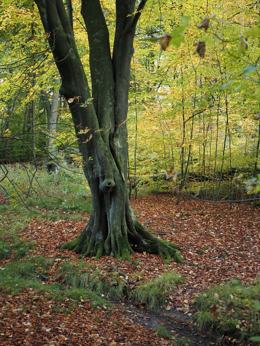 PA290077 - Copy_web.jpg