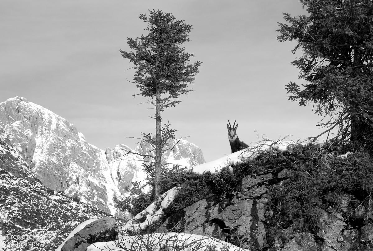 DSC_1990 smaller.JPG