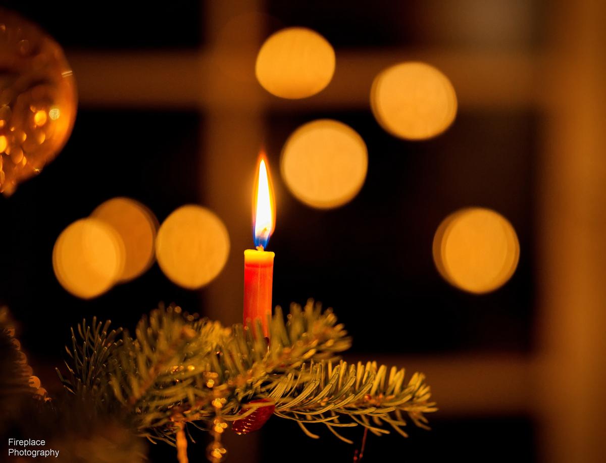 DSC_3398 smaller2.JPG