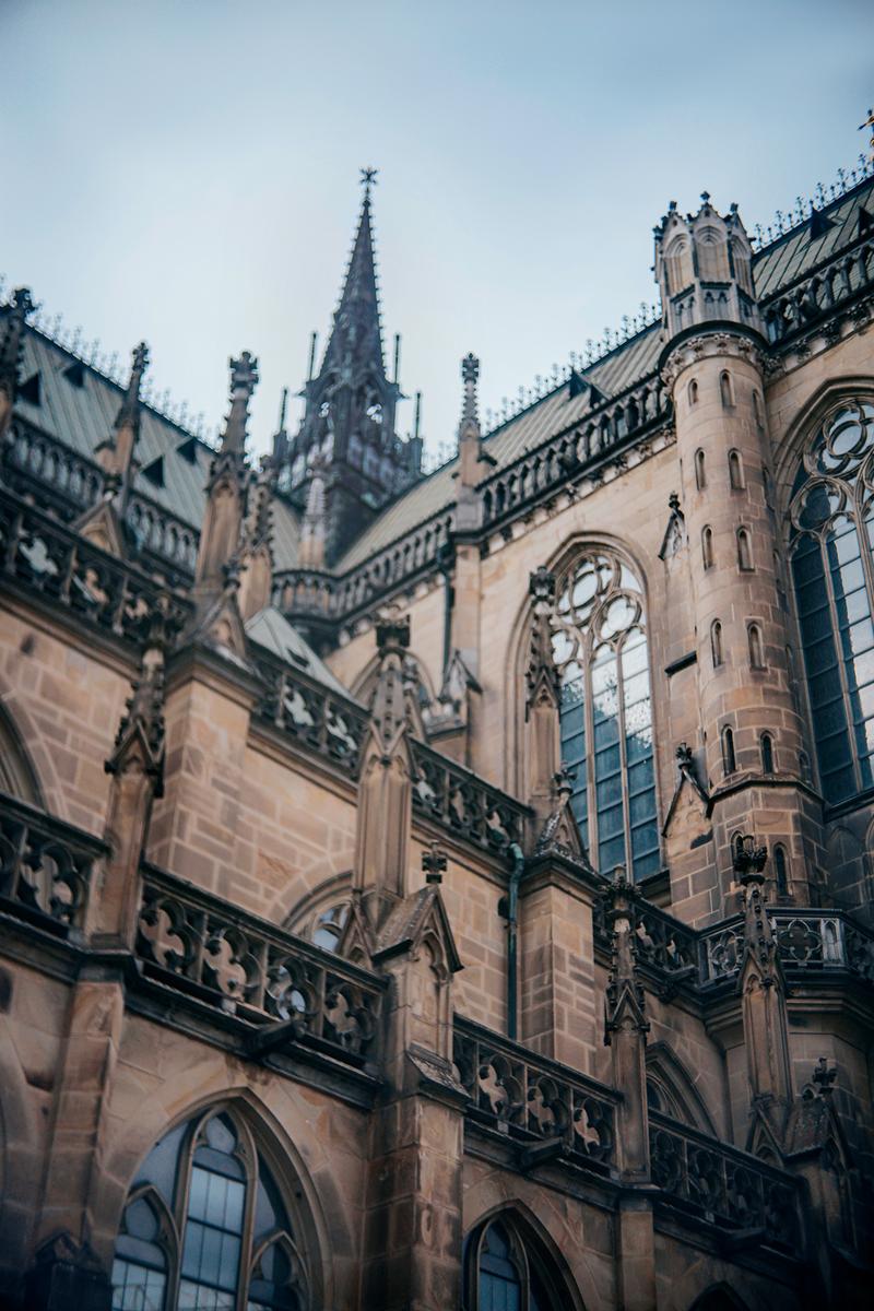 AC_Petri_Orikkor_4-5cm_610 Kopie.jpg