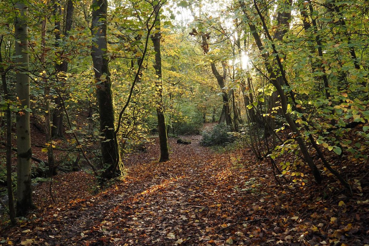 PA290020 - Copy_web.jpg