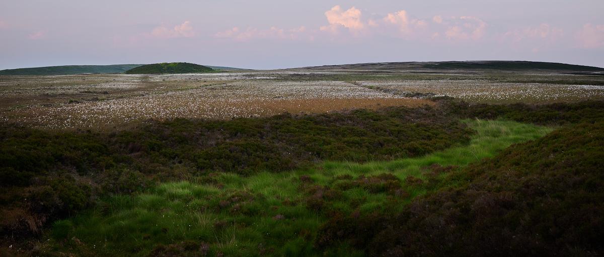 DSC_5565.jpg