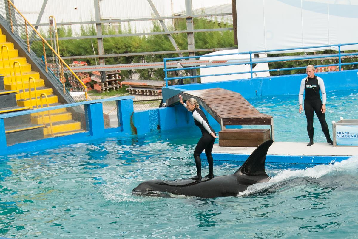 Miami Seaquarium 060916-50.jpg