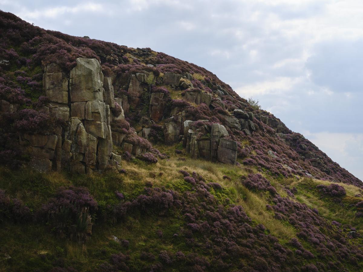 DSCF3327 1.jpg