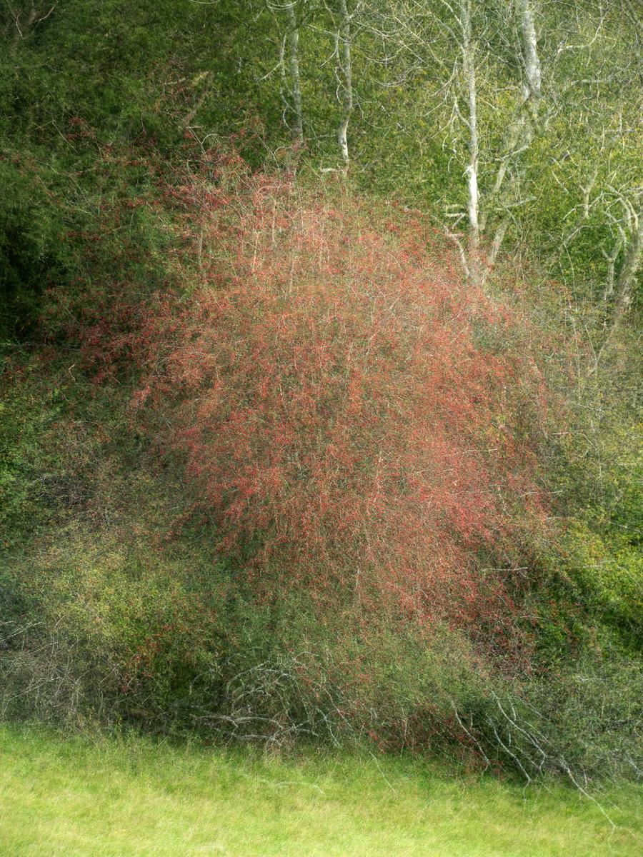 P9185576.jpg
