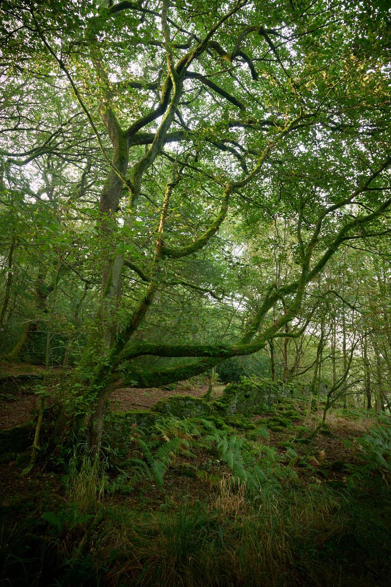 DSC_8036.jpg
