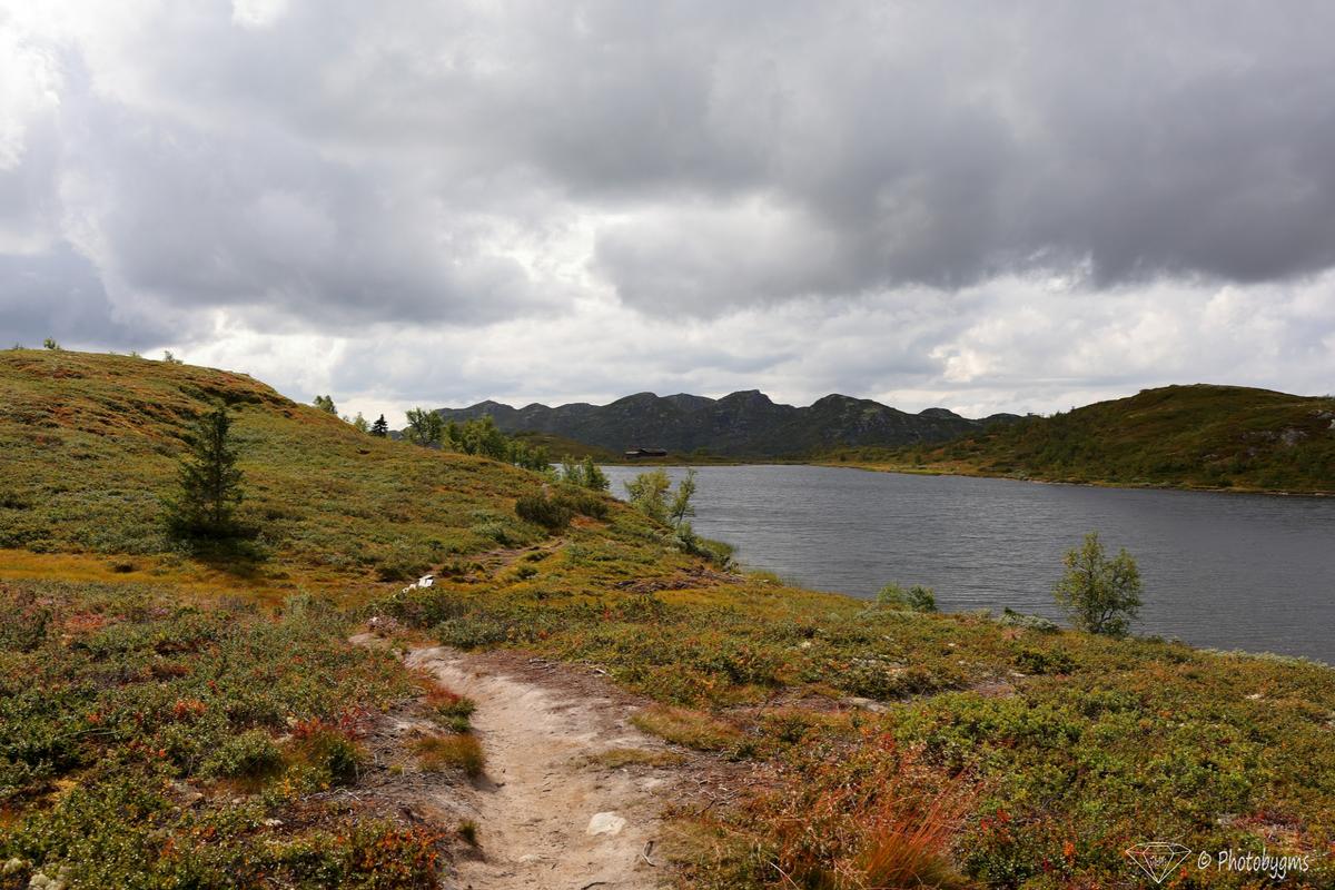 62B_9063.jpg