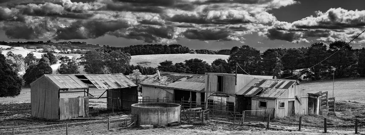 230808  A7RIVa  Bena Shed Walkerville pola  DSC02151.jpg