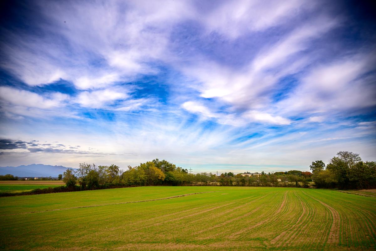 2025-10-25 16.06.05-3_Zf-1_(Supersize).jpg