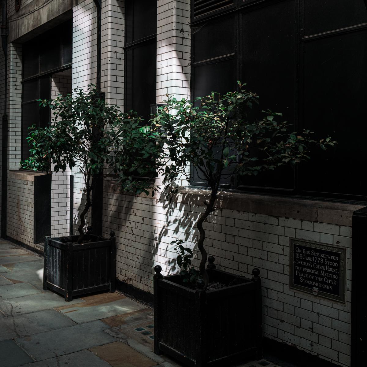 L1078247-2.jpg