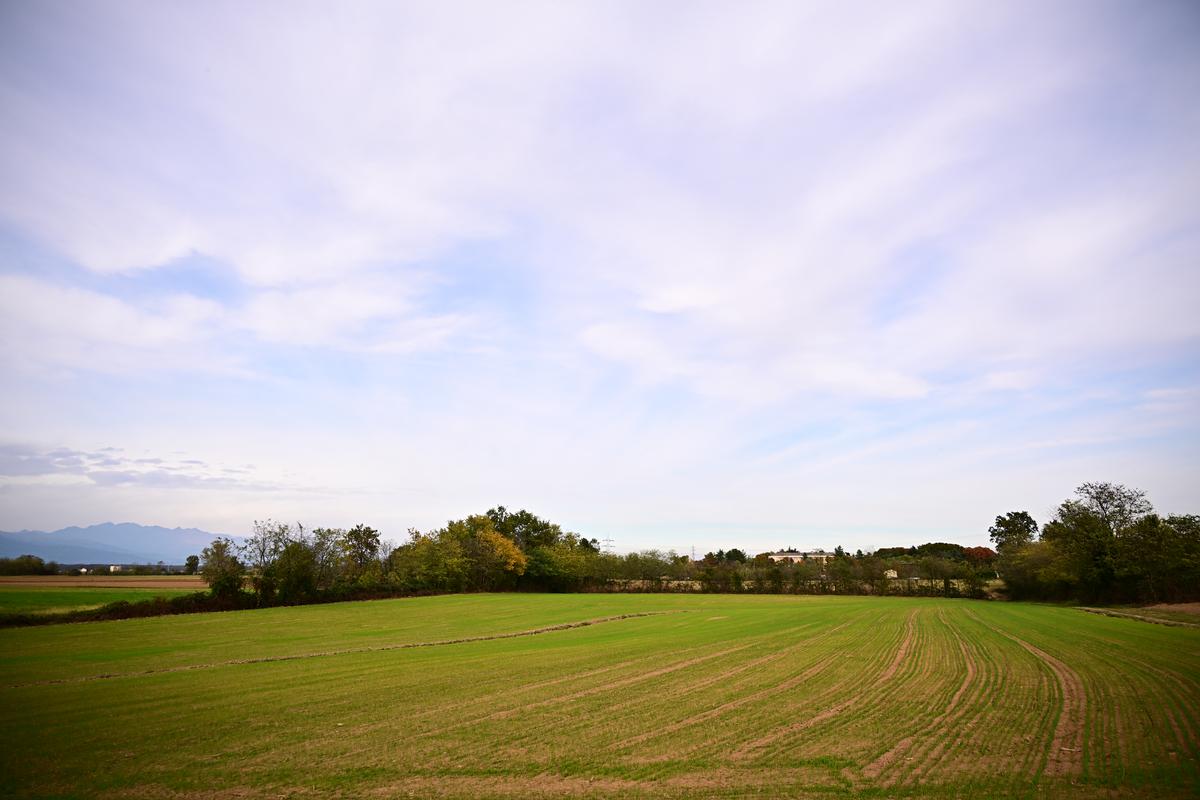 2025-10-25 16.06.05-3_Zf.jpg