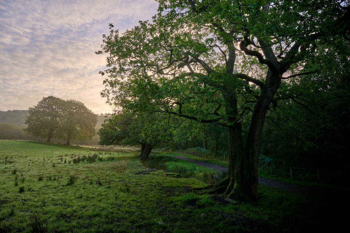DSC_7982_HDR 1.jpg