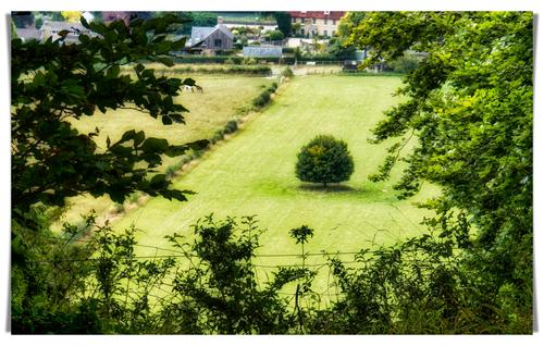 _1050716-ThroughTheTrees-OldSarum-Salisbury-Wiltshire.jpg