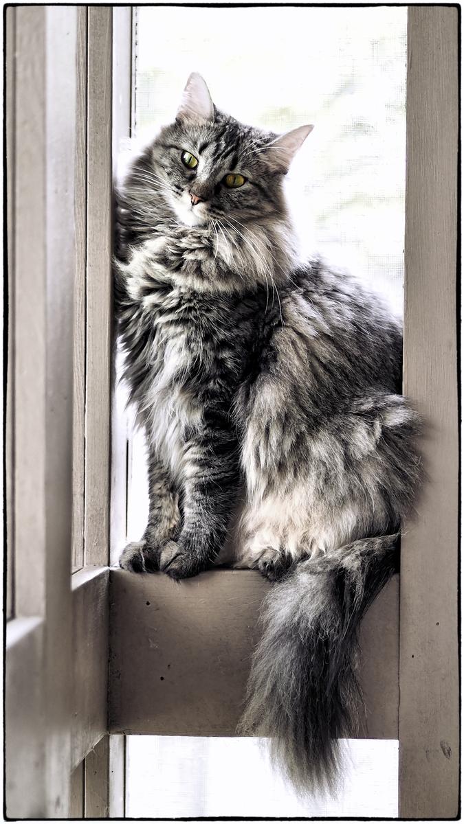 KK in the Winfdow.jpg