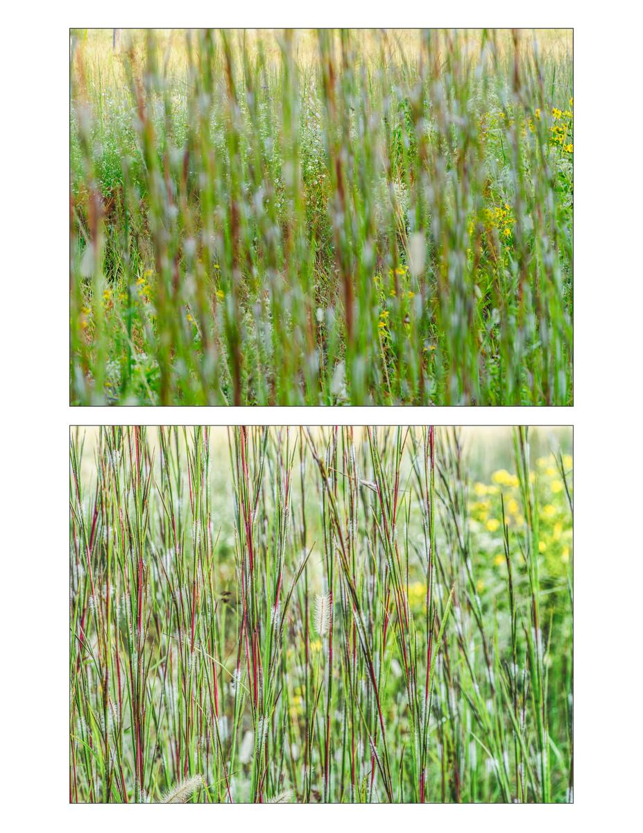 Untitled-1.jpg