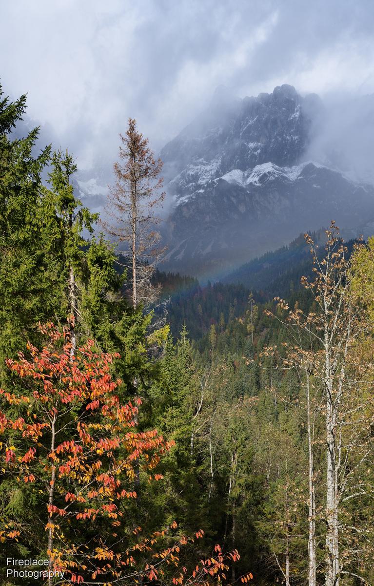 DSC_1711 smaller.JPG