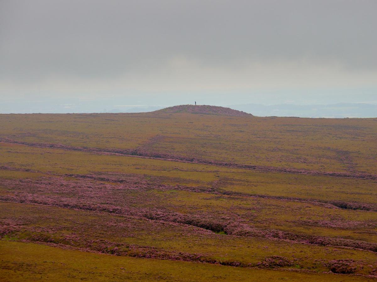 P9020175.jpg