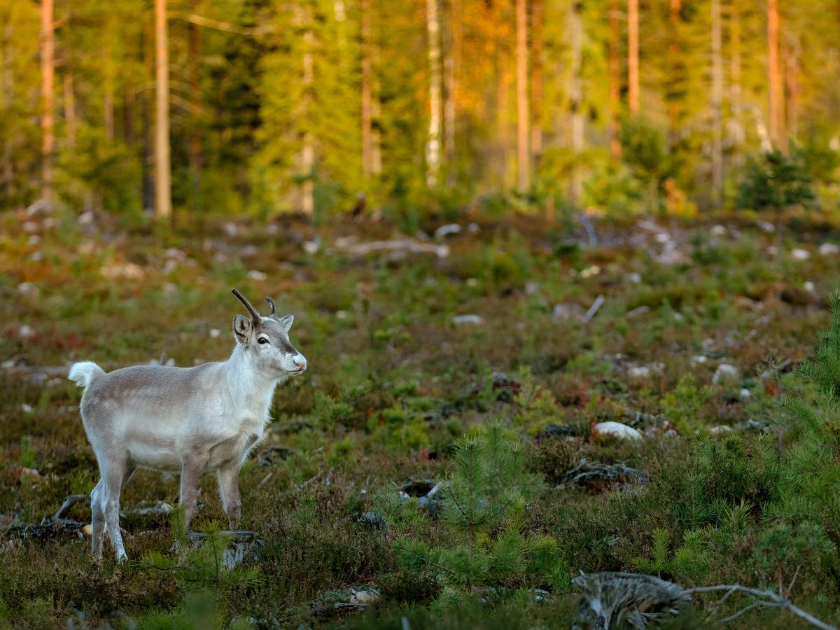 5D4_9345 edit-3.jpg