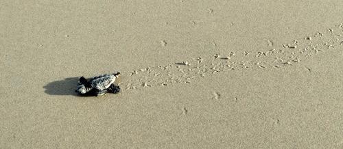 IMG_20250226_171102323_01.jpg