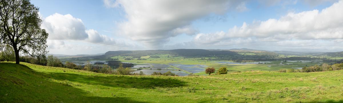 P9185581-Pano.jpg