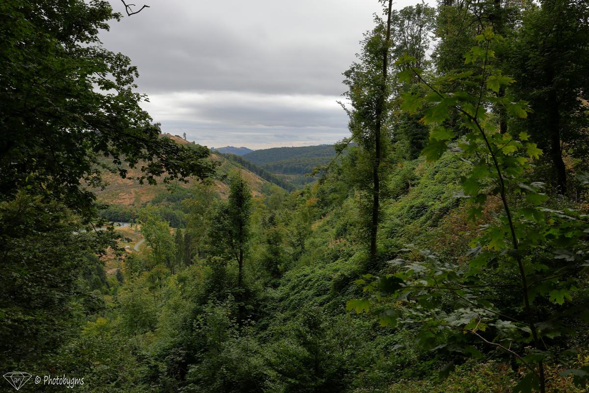 62A_4958.jpg