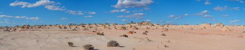 Mungo Man and Mungo Lady.jpg