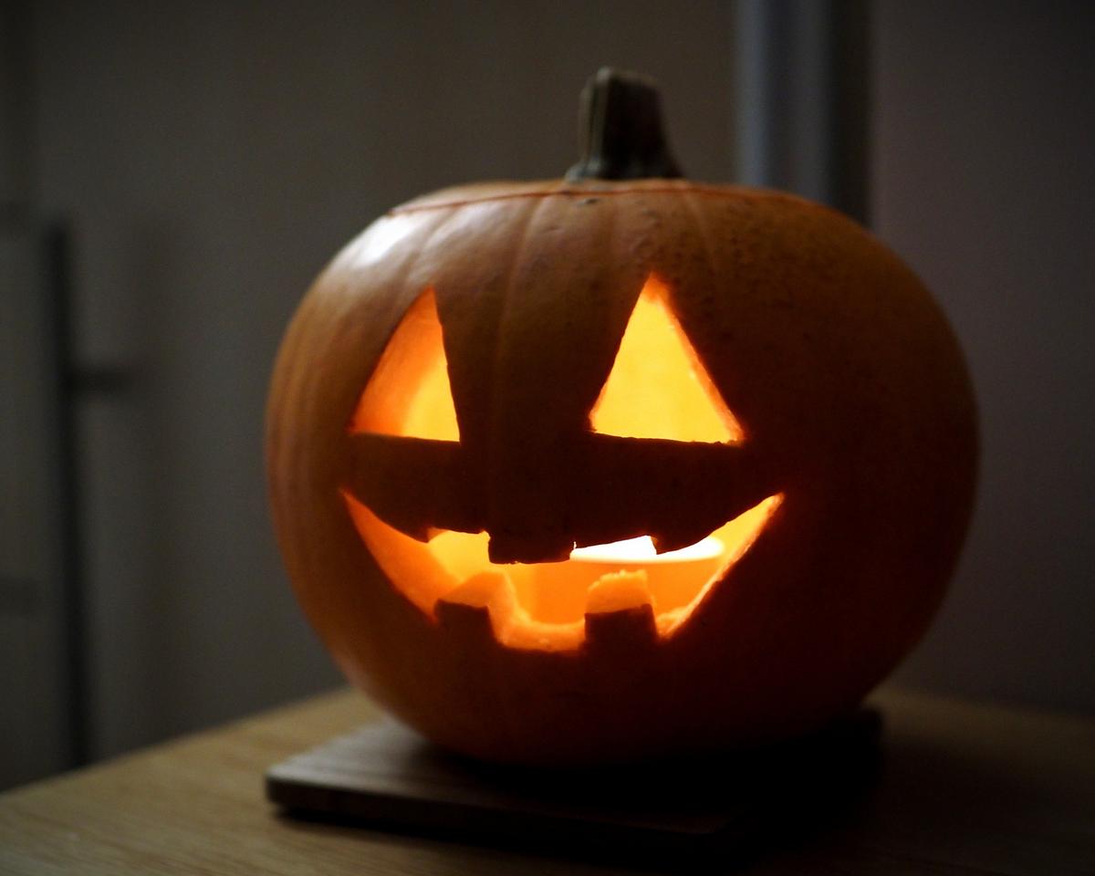 PA310411 - Copy_web.jpg