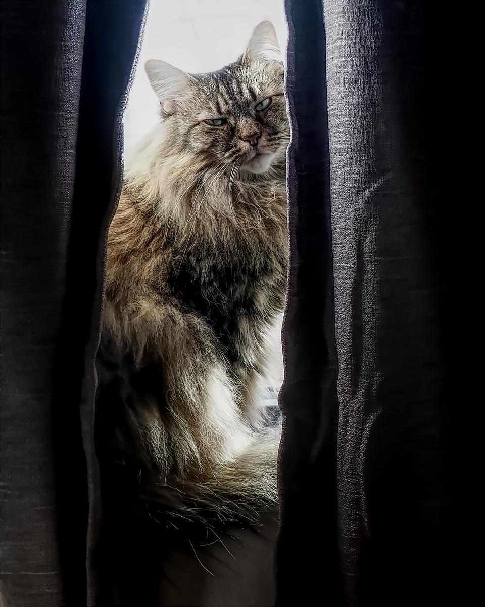 KK at the window.jpg