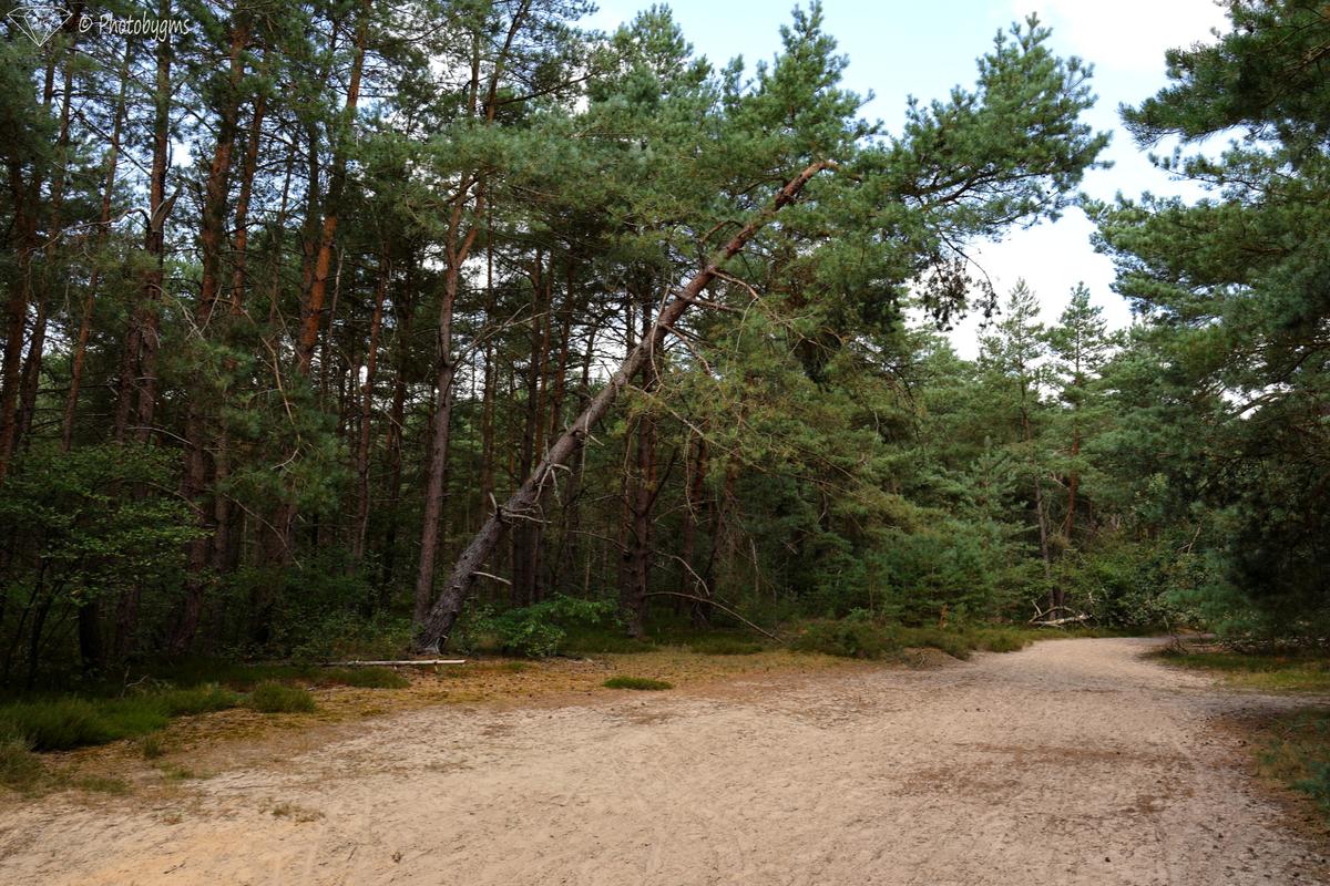 62B_8909.jpg