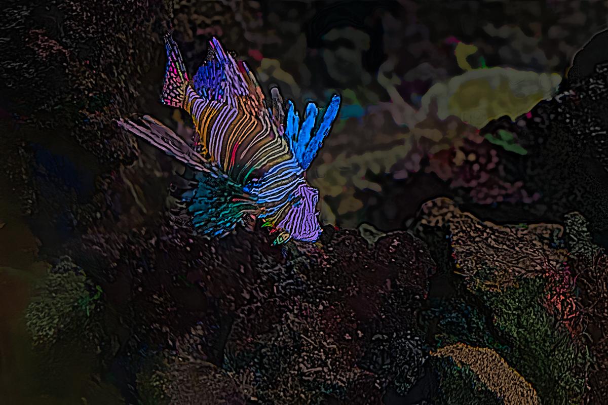 Fish-3.jpg