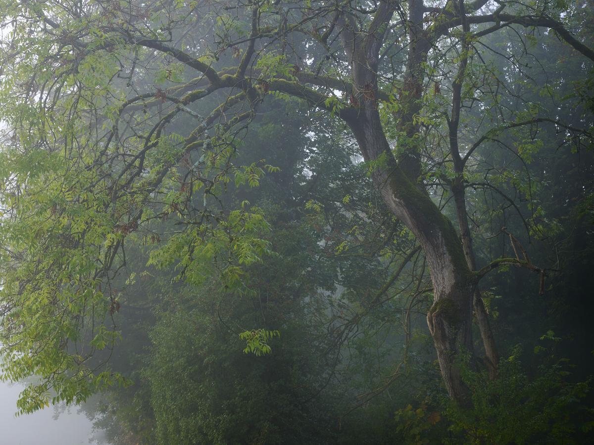 DSC_7547.jpg